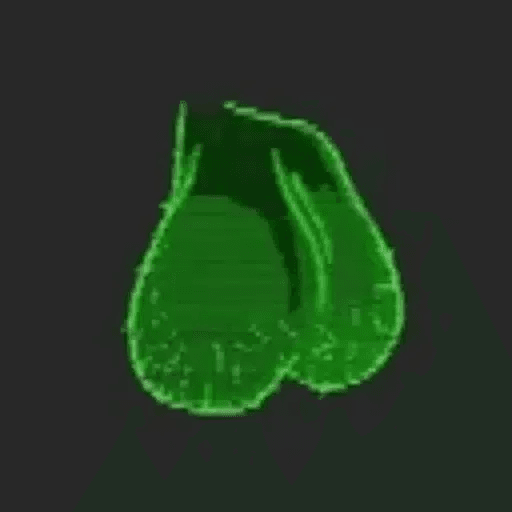 World Record Pair original green logo